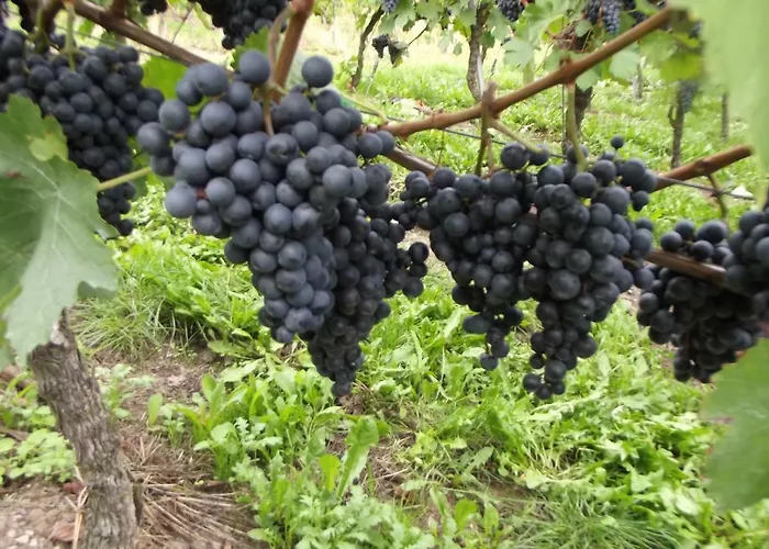 Sausen Апартаменты Креф