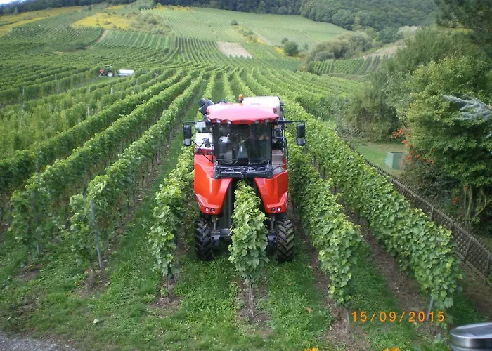 Апартаменты Sausen *